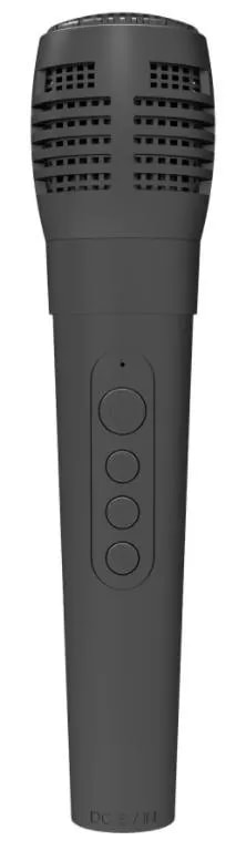 Torre de Sonido Bluetooth Doble 8" con Micrófono Inalámbrico y Luces