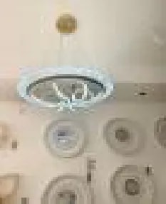 Lámpara Colgante LED Moderna Anillo con Hojas Decorativas