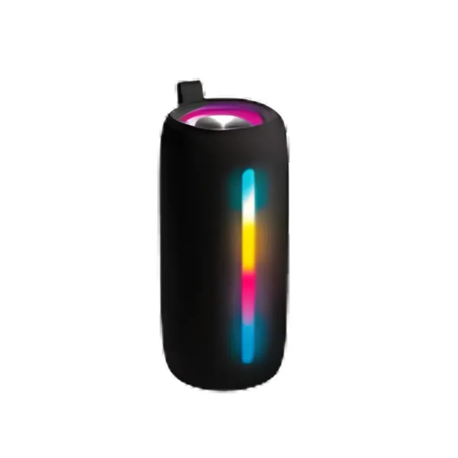 Parlante P2PRO