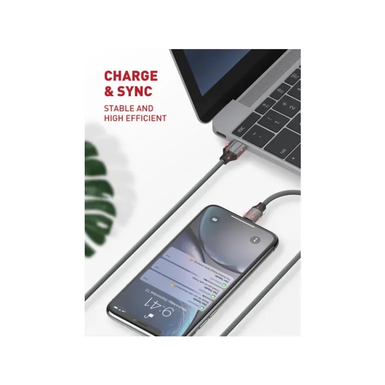 Cable ldnio LS441 con A iPhone