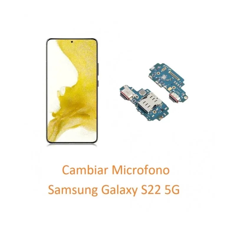 Micrófono S22+